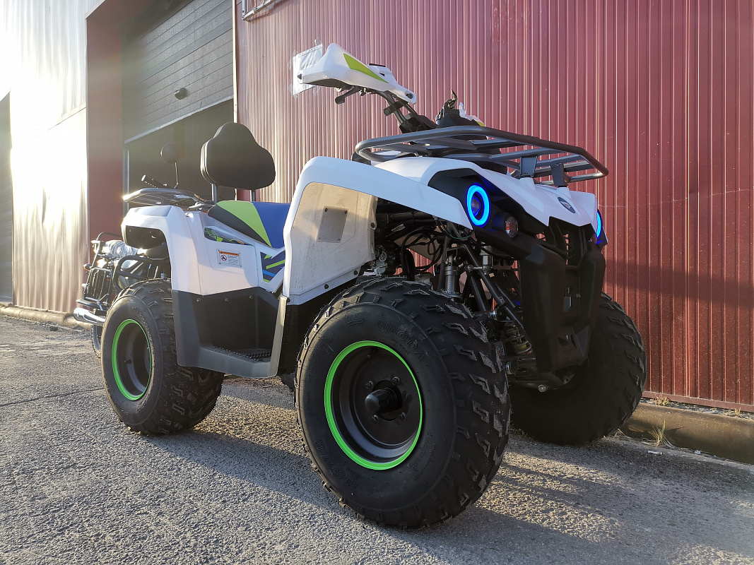 Квадроцикл PROMAX RENEGADE 280 LUX (2025) в Коврове