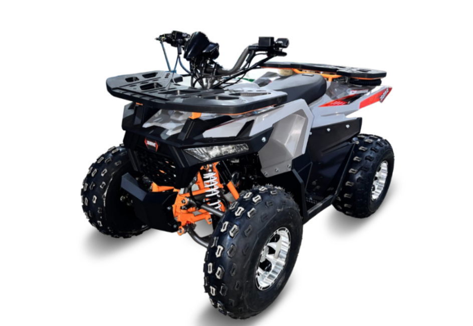 Квадроцикл GBM DAXTER 220 NEW PREMIUM в Коврове