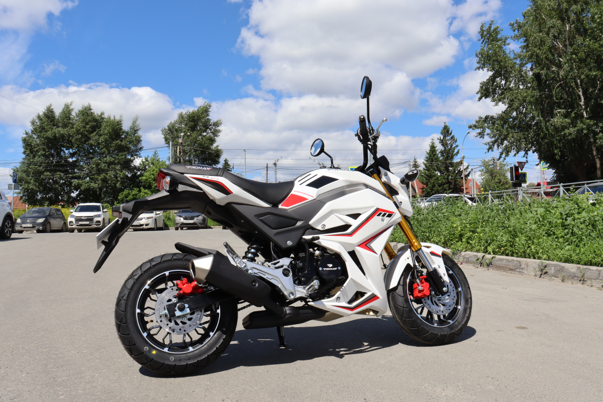 Мотоцикл PROMAX STRYKER 200(49) 2.0 в Коврове