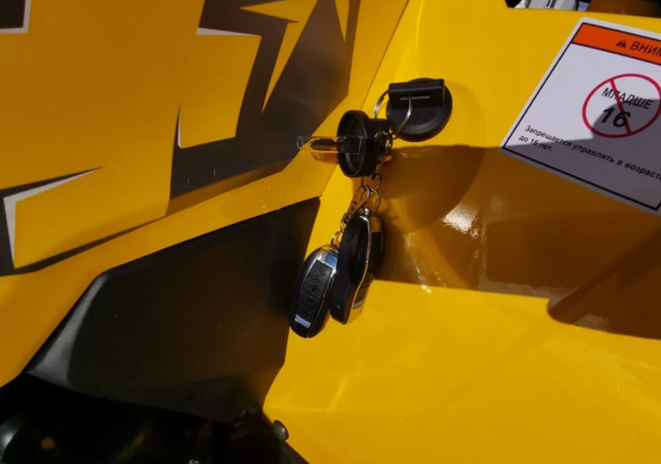 Квадроцикл MOTOLAND (МОТОЛЕНД) VOX200 WILD TRACK X PRO (баланс. вал) в Коврове