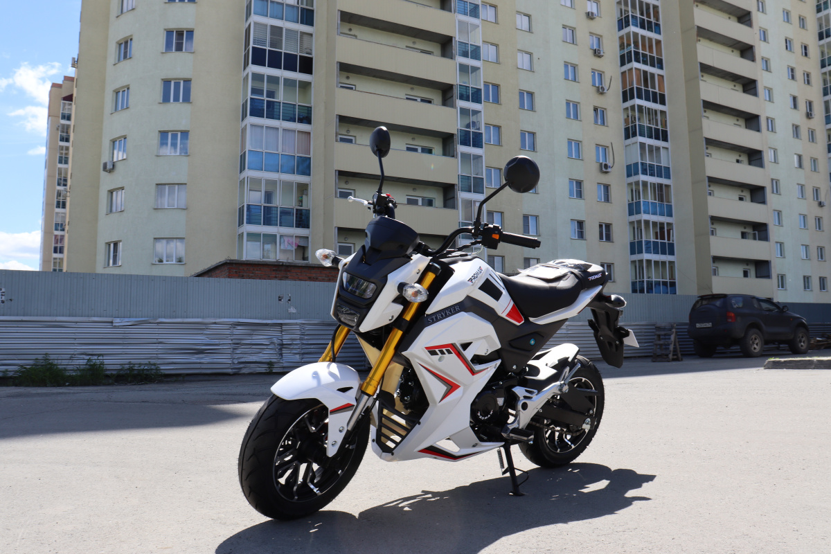 Мотоцикл PROMAX STRYKER 200(49) 2.0 в Коврове