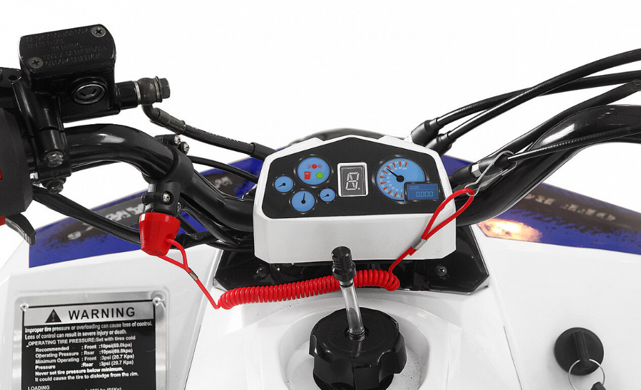 Квадроцикл Yacota Raposa 110 в Коврове