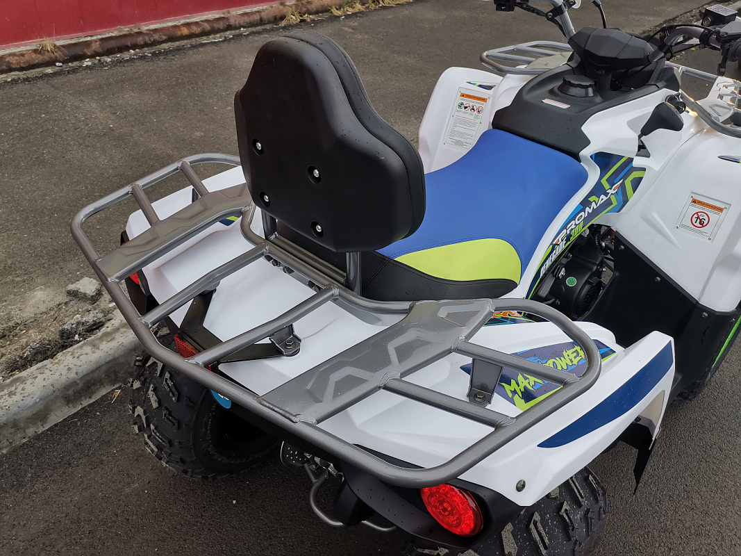 Квадроцикл PROMAX RENEGADE 280 LUX (2025) в Коврове