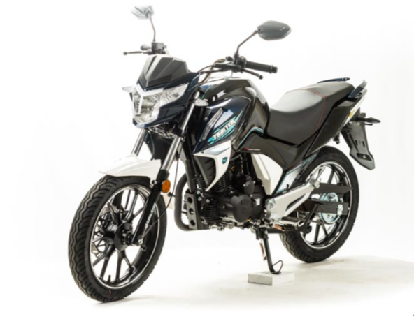 Мотоцикл MOTOLAND (МОТОЛЕНД) FIGHTER 250 в Коврове