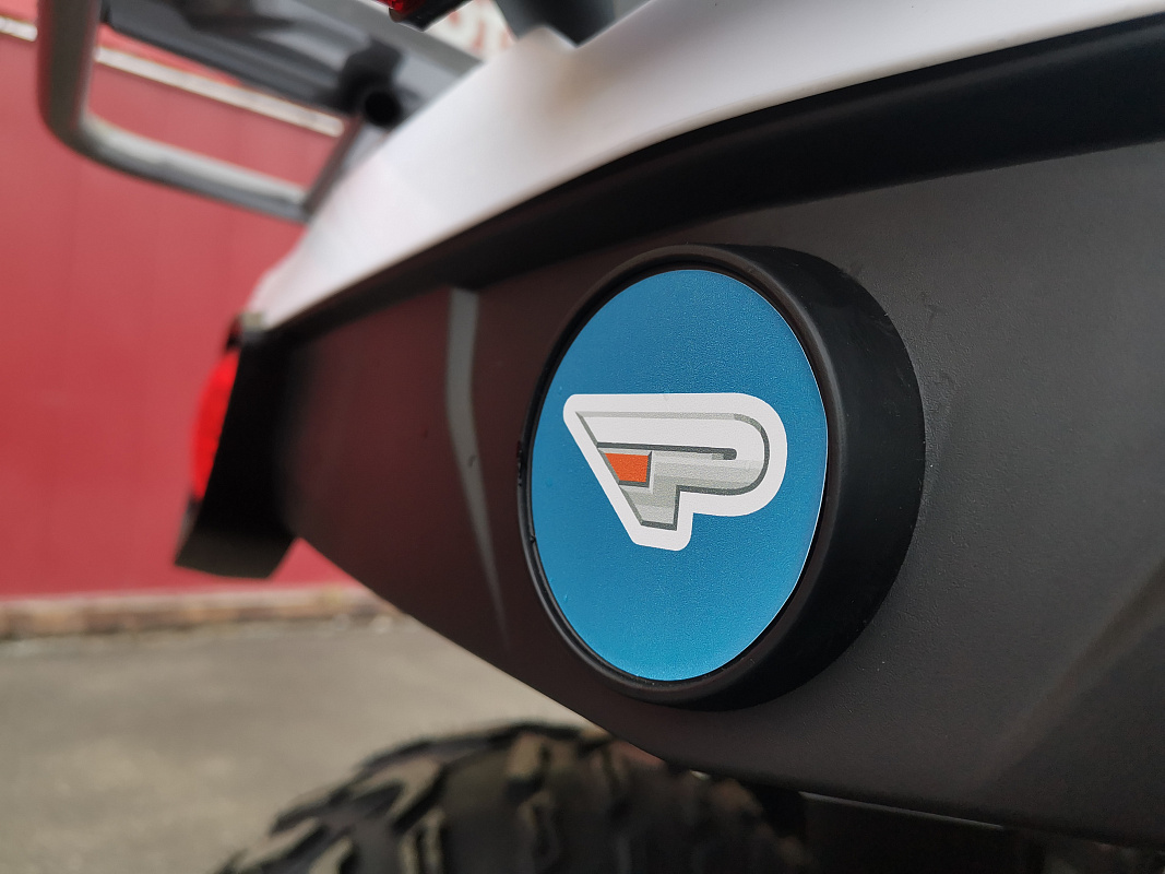 Квадроцикл PROMAX RENEGADE 280 LUX (2025) в Коврове