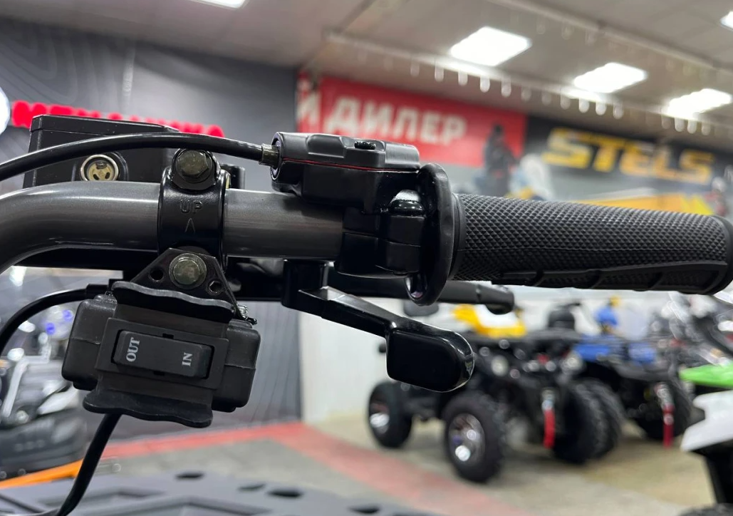 Квадроцикл PROMAX RENEGADE 300 LONG WINCH PRO (2025) в Коврове