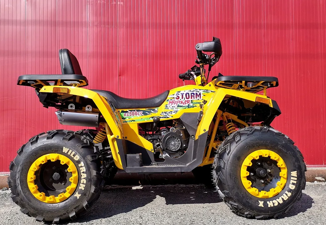 Квадроцикл PROMAX STORM 280 LUX в Коврове