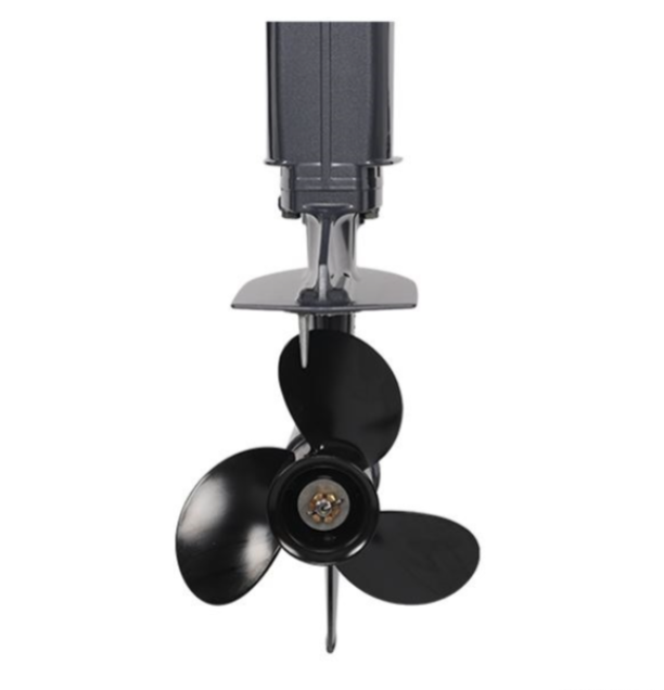 Лодочный мотор ALLFA CG Т40FW S в Коврове