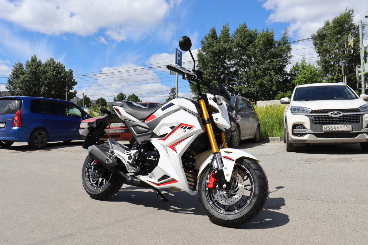 Мотоцикл PROMAX STRYKER 200(49) 2.0 в Коврове