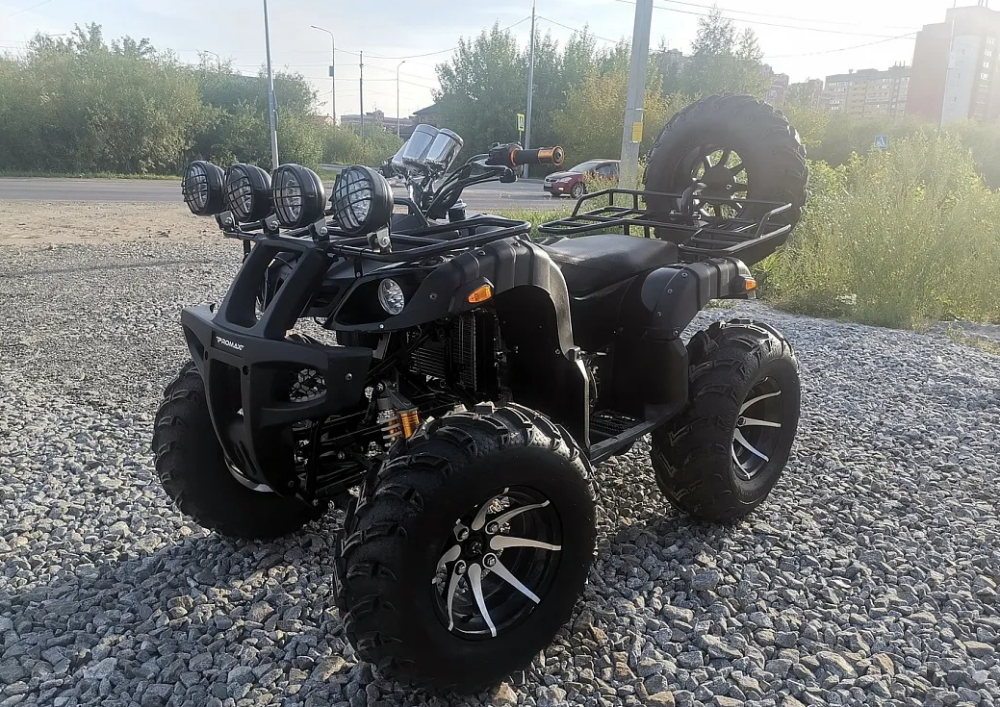 Квадроцикл PROMAX LEO 300 Max (кардан) в Коврове