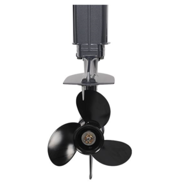 Лодочный мотор ALLFA CG Т40FWT S в Коврове