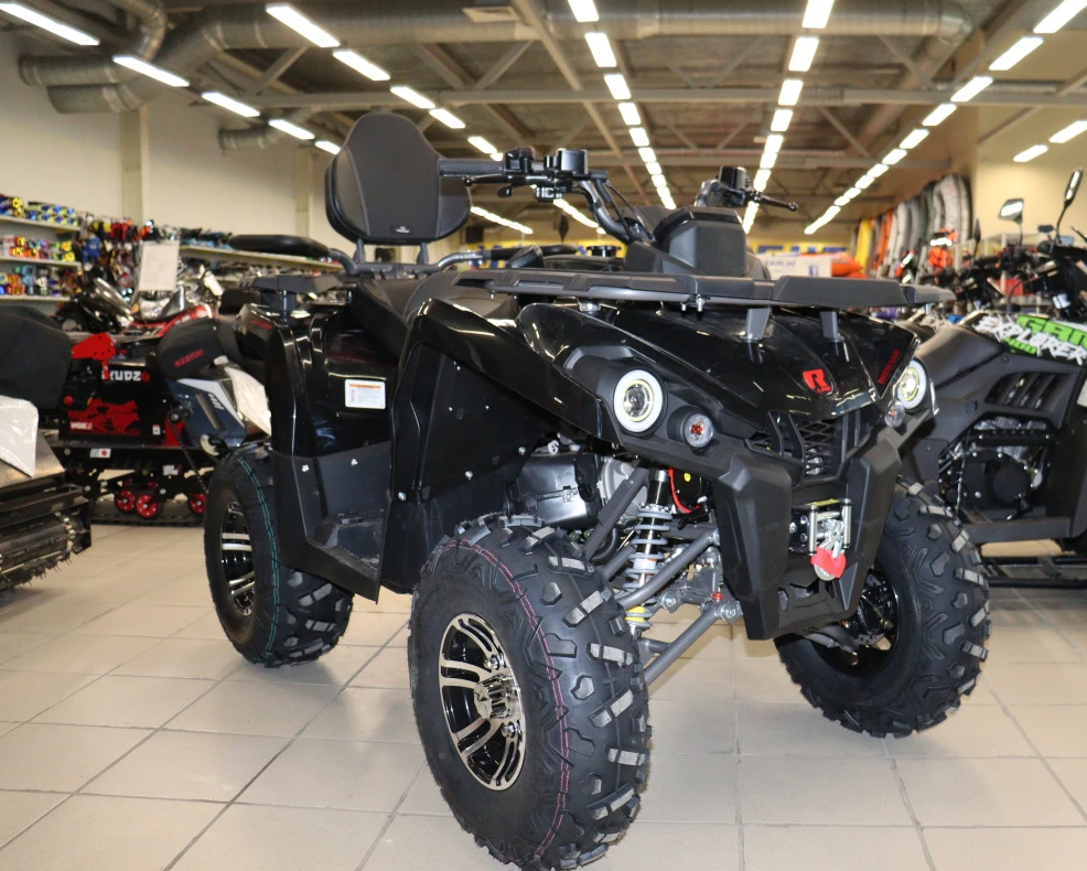 Квадроцикл PROMAX RENEGADE 300 LONG WINCH PRO (2025) в Коврове
