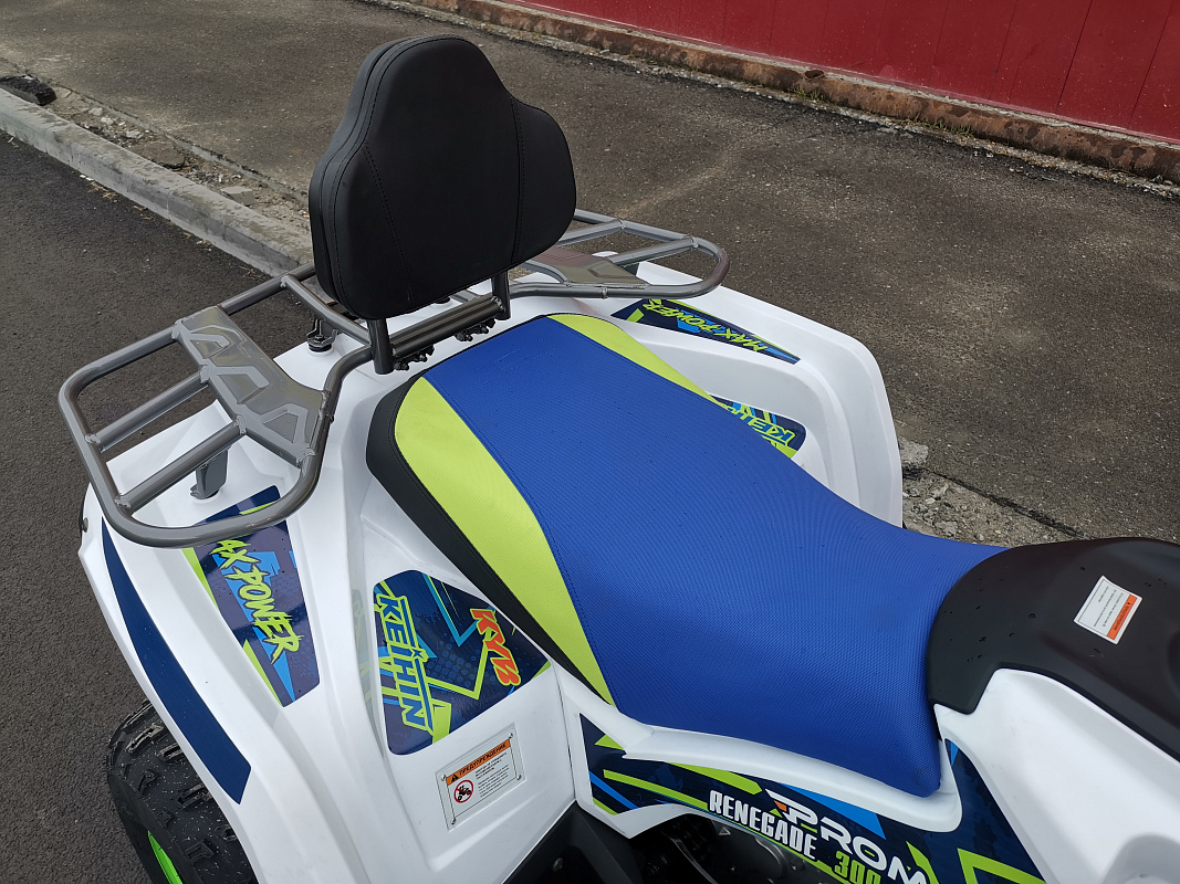 Квадроцикл PROMAX RENEGADE 280 LUX (2025) в Коврове