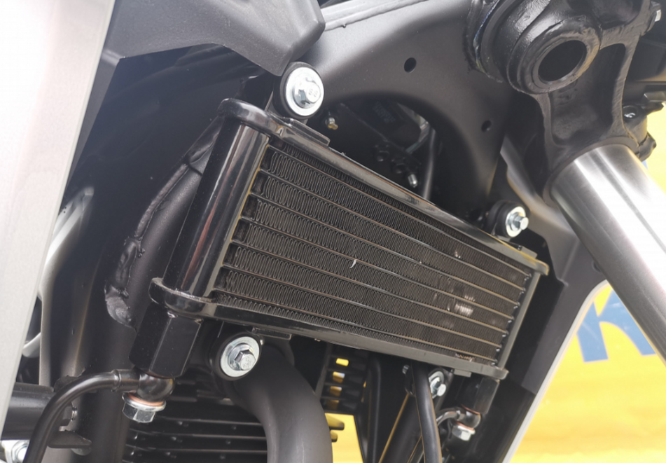 Мотоцикл MOTOLAND (МОТОЛЕНД) 250 CB250 (172FMM-5/PR250) (2022 г.) в Коврове