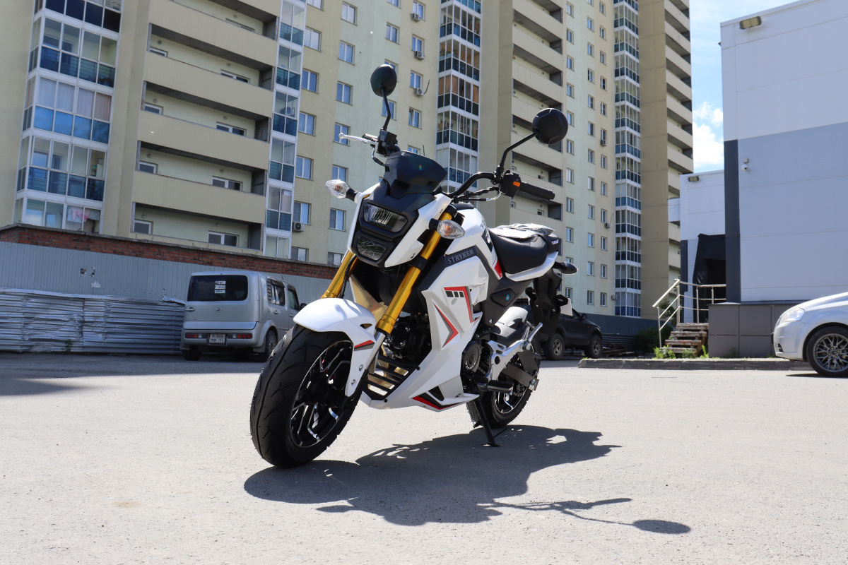 Мотоцикл PROMAX STRYKER 200(49) 2.0 в Коврове