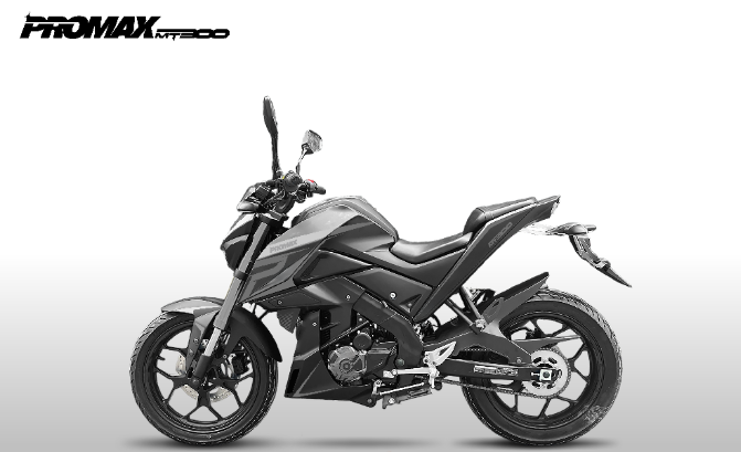 Мотоцикл PROMAX MT300 в Коврове