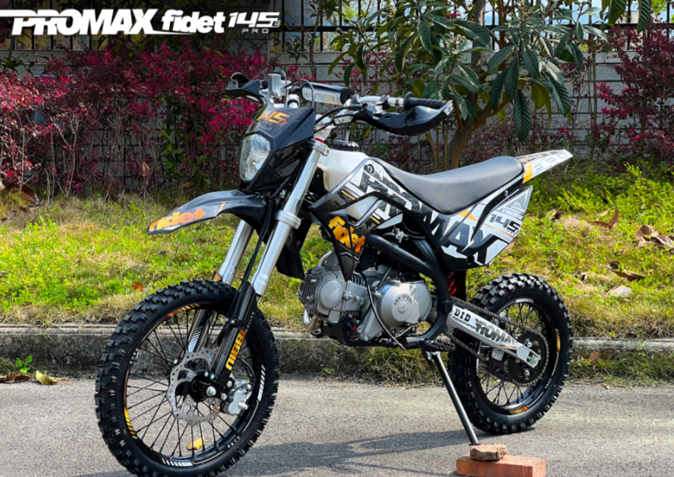 Мотоцикл (питбайк) PROMAX FIDET (ФАЙДЕТ) 145E PRO 17/14 в Коврове