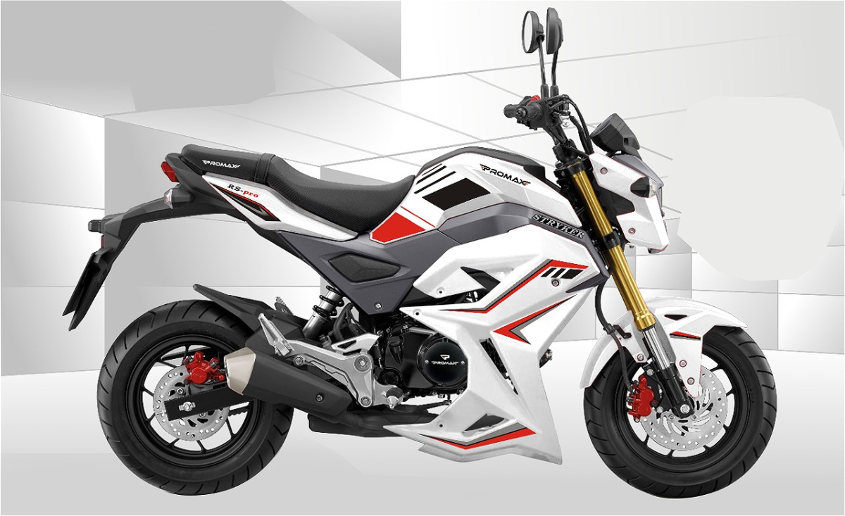 Мотоцикл PROMAX STRYKER 200(49) 2.0 в Коврове