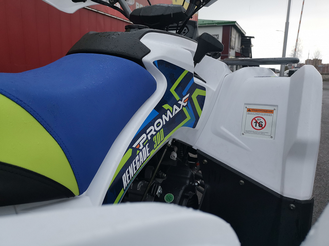 Квадроцикл PROMAX RENEGADE 280 LUX (2025) в Коврове