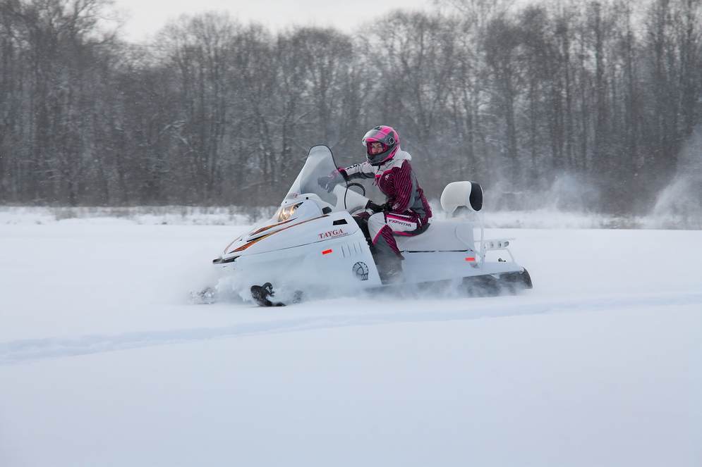 Снегоход Русская механика РМ TAYGA PATRUL 551 SWT в Коврове