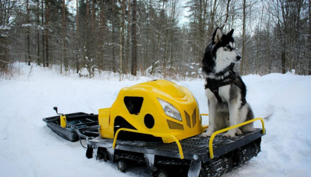 Мотобуксировщик LEBEDEV MOTORS ВОЛКОДАВ POWER V13 в Коврове