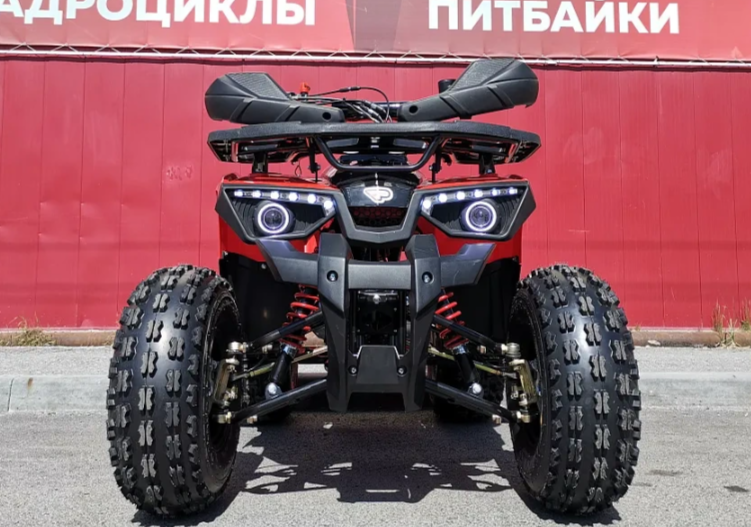 Квадроцикл PROMAX WILD 175 BASIC в Коврове