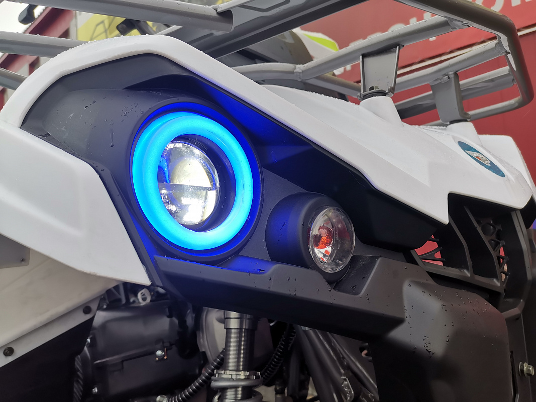 Квадроцикл PROMAX RENEGADE 280 LUX (2025) в Коврове