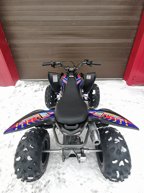 Квадроцикл PROMAX RAPTOR 300 NEW RedBull в Коврове