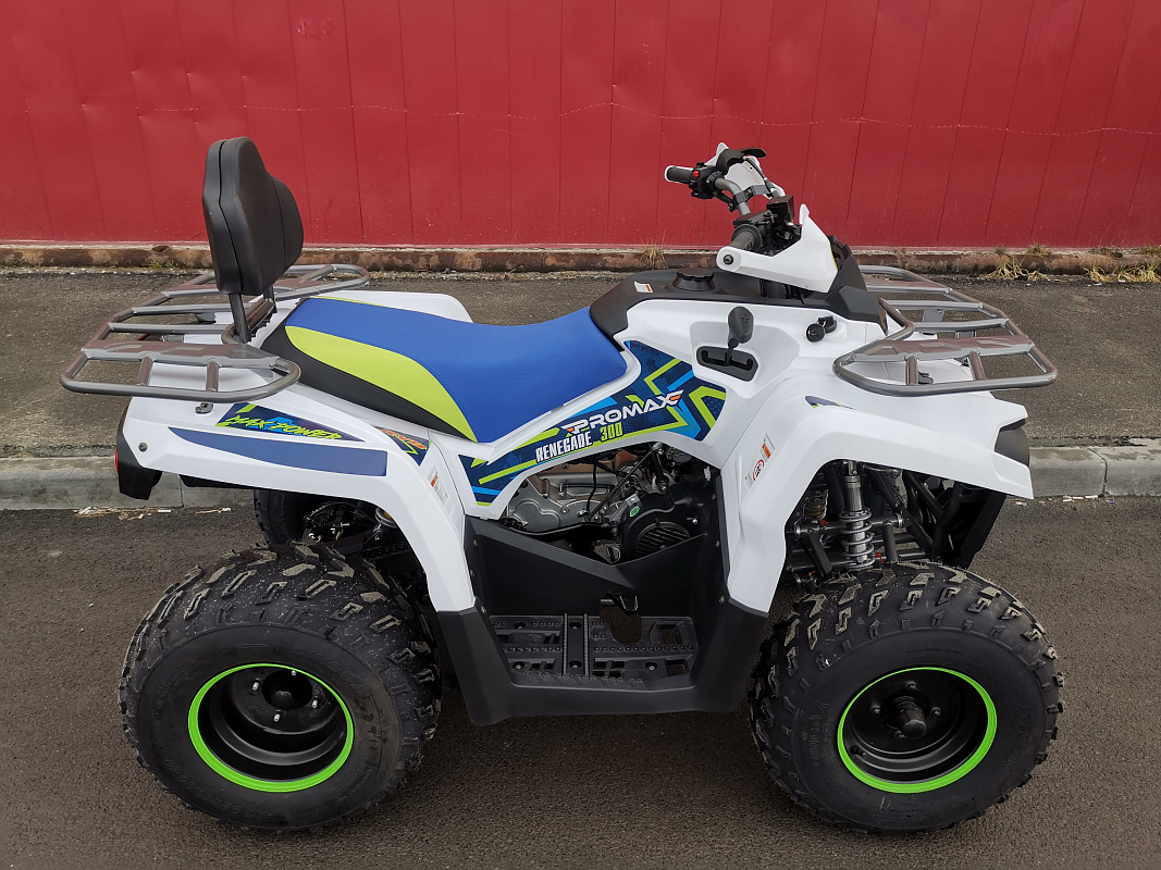 Квадроцикл PROMAX RENEGADE 280 LUX (2025) в Коврове