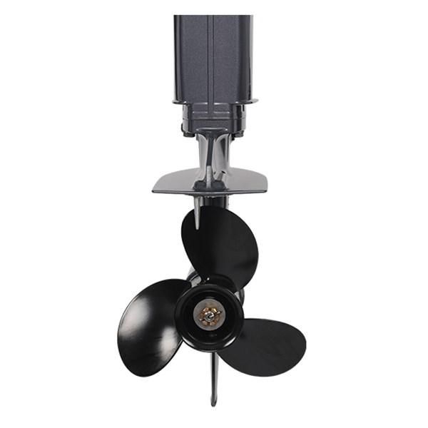 Лодочный мотор ALLFA CG T9.9(20) MAX Limit в Коврове