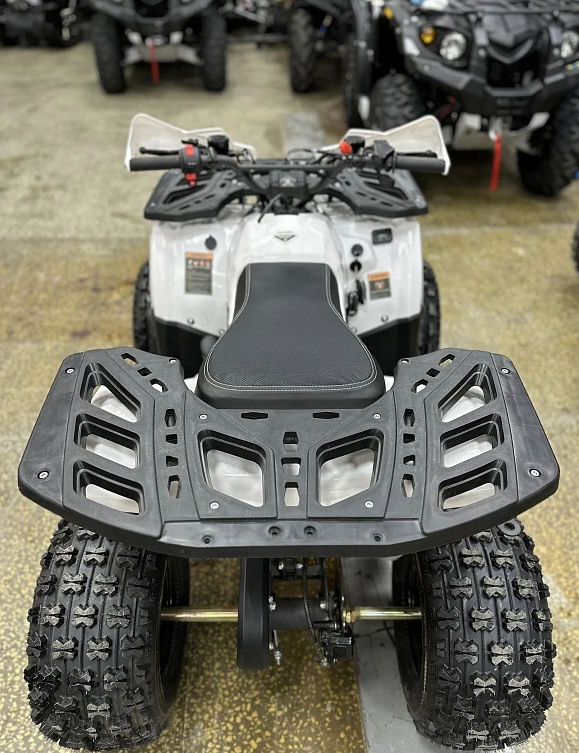 Квадроцикл PROMAX WILD 2.0 190 в Коврове