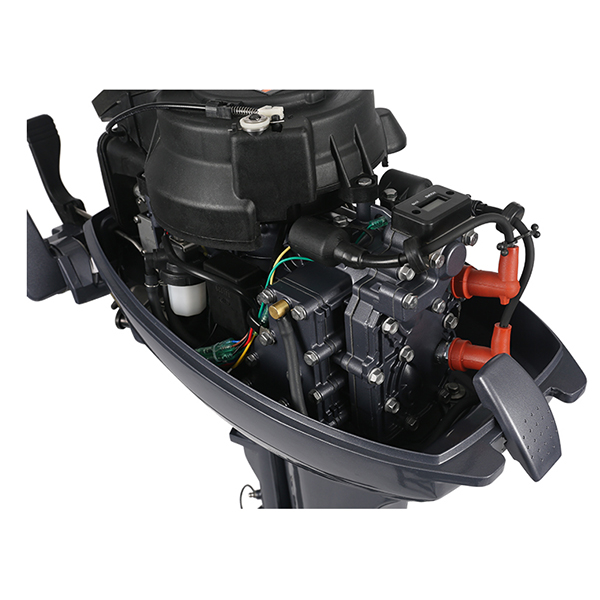 ЛОДОЧНЫЙ МОТОР ALLFA CG Т9,9 Limit в Коврове