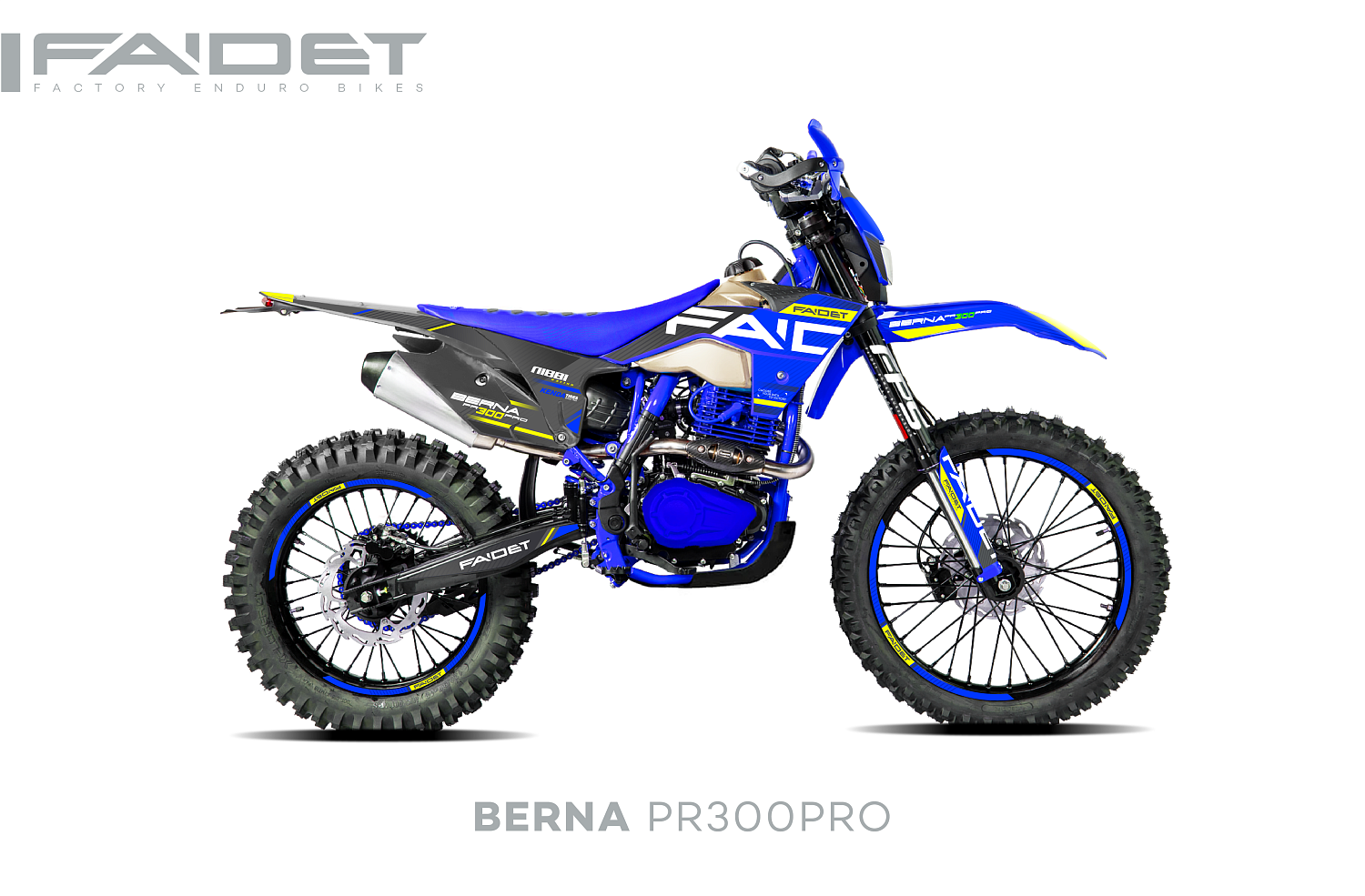 Кроссовый мотоцикл FAIDET BERNA PR300-PRO FPS в Коврове