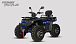 Квадроцикл PROMAX TAURUS 300 MAX-PRO LONG в Коврове