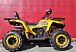 Квадроцикл PROMAX STORM 280 LUX в Коврове
