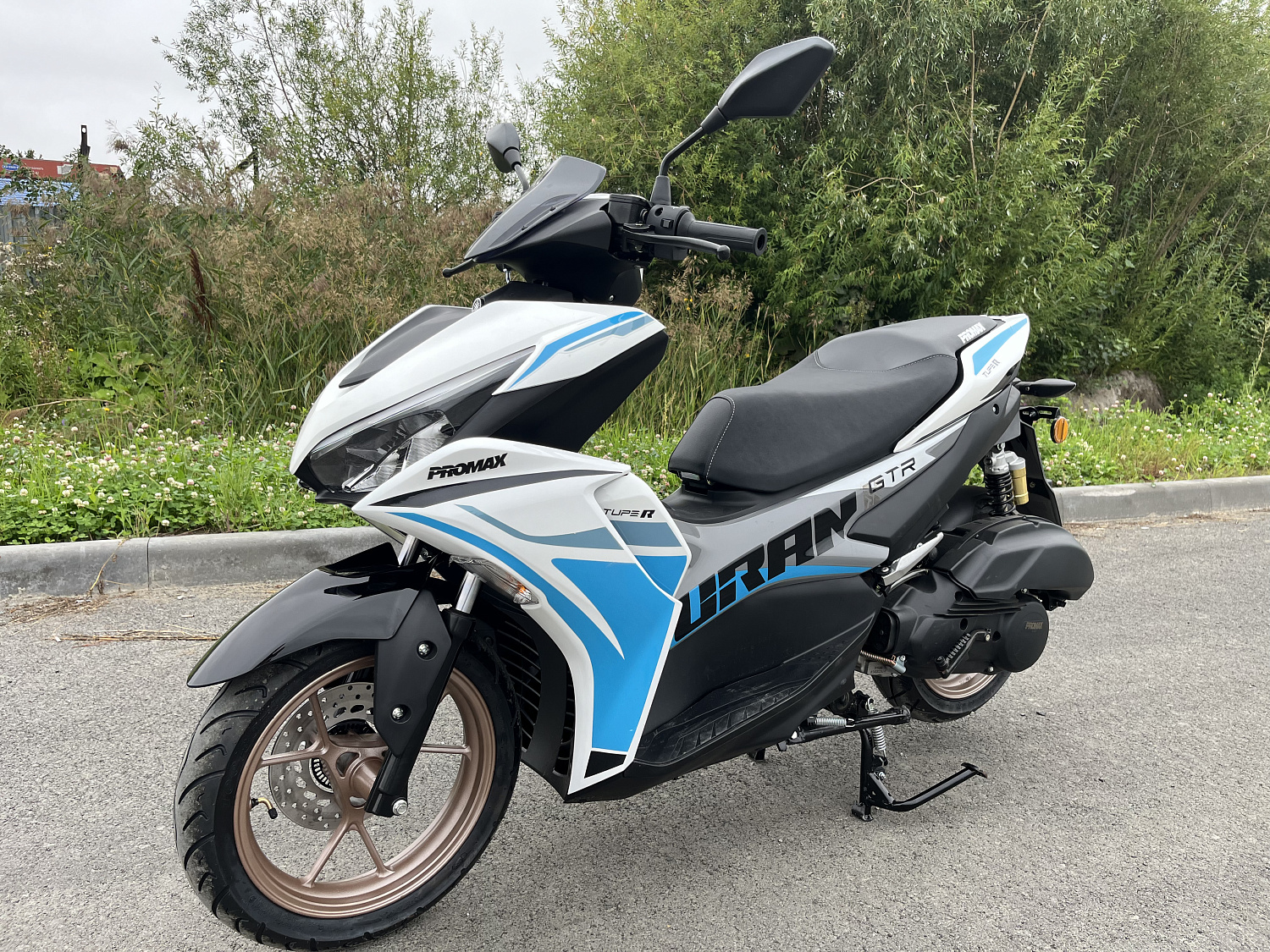 Скутер PROMAX TURAN 250 (49) в Коврове