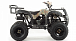 Квадроцикл MOTOLAND (МОТОЛЕНД) 200 ALL ROAD в Коврове