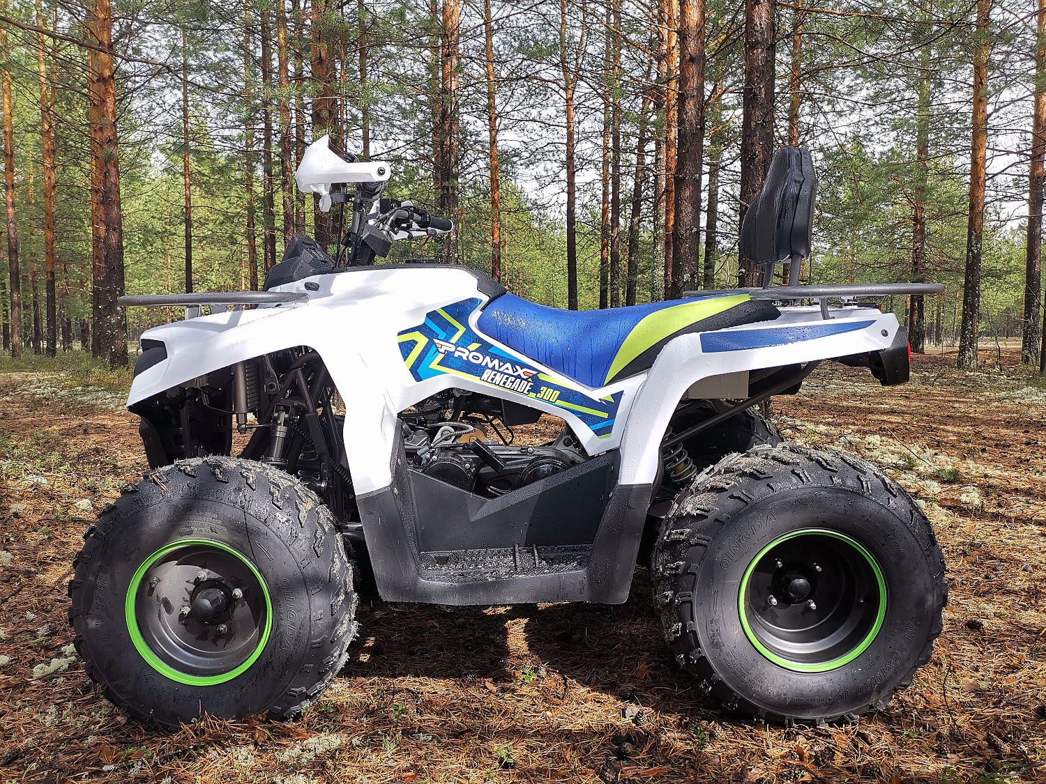 Квадроцикл PROMAX RENEGADE 280 (2025) в Коврове