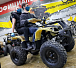 Квадроцикл PROMAX ATV 250 (2025) в Коврове
