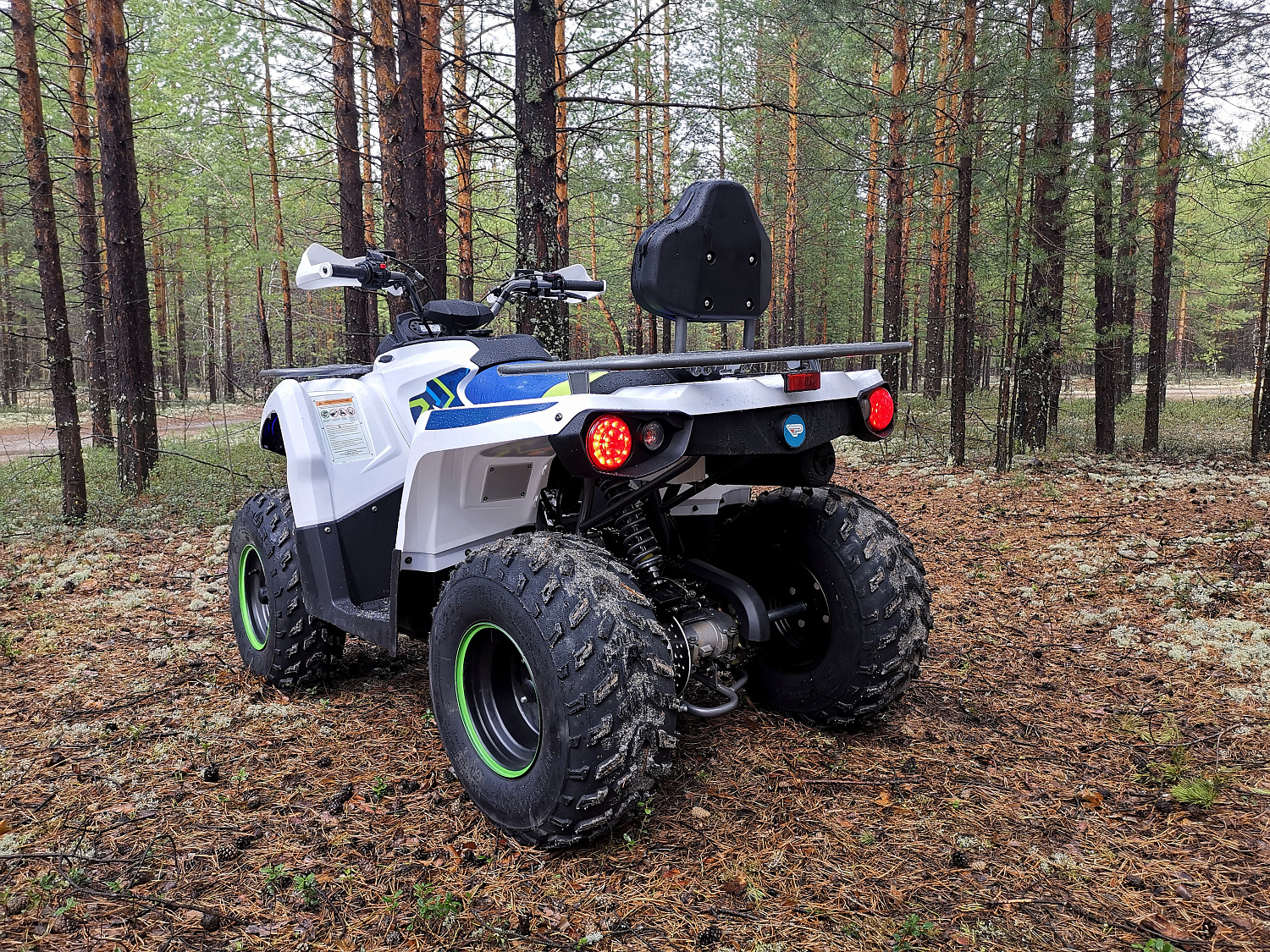 Квадроцикл PROMAX RENEGADE 280 (2025) в Коврове
