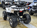 Квадроцикл PROMAX WILD 2.0 190 LUX в Коврове