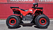 Квадроцикл PROMAX WILD 175 BASIC в Коврове