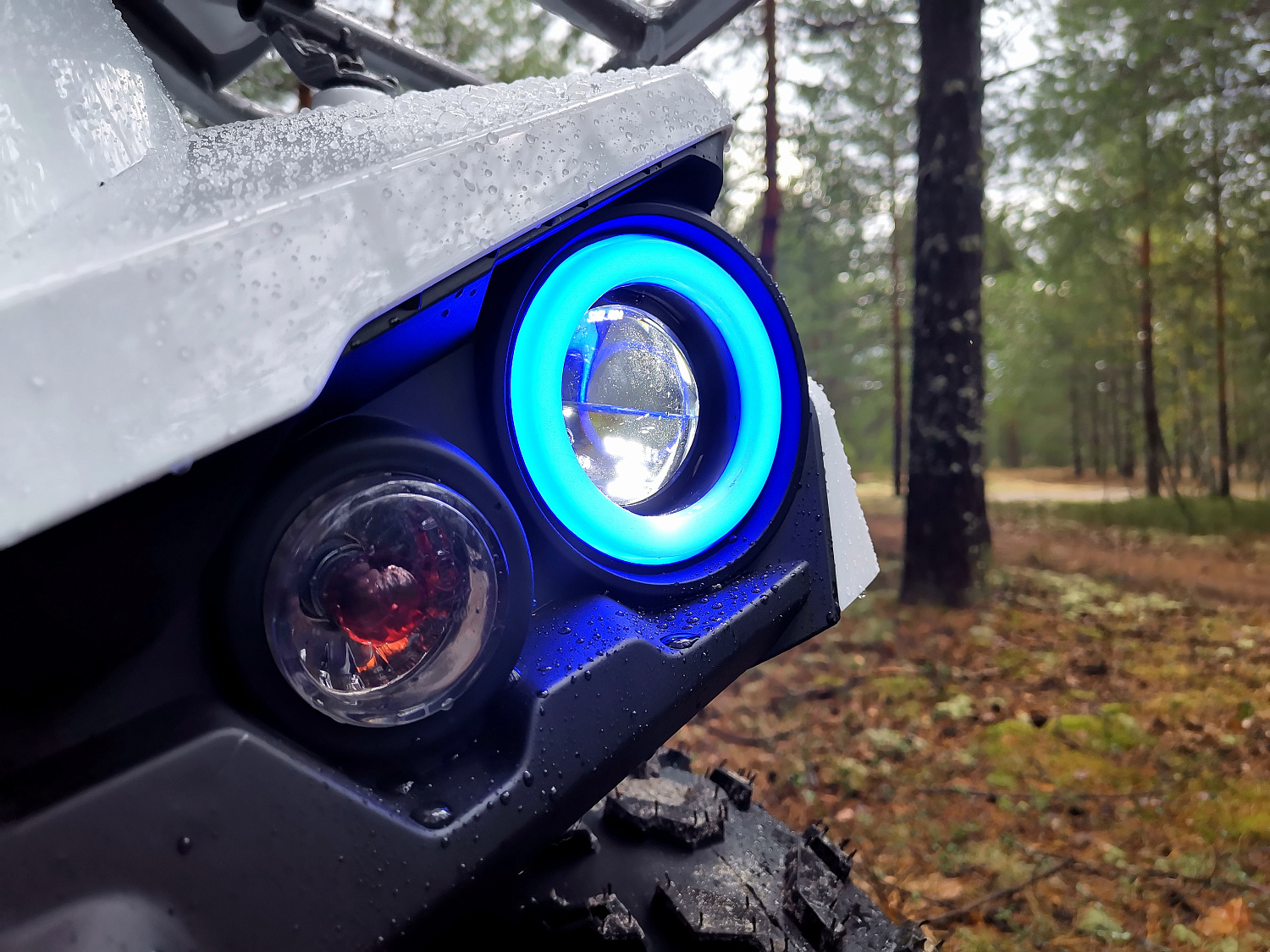 Квадроцикл PROMAX RENEGADE 280 (2025) в Коврове