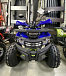 Квадроцикл PROMAX WILD 2.0 190 PRO (2025) в Коврове
